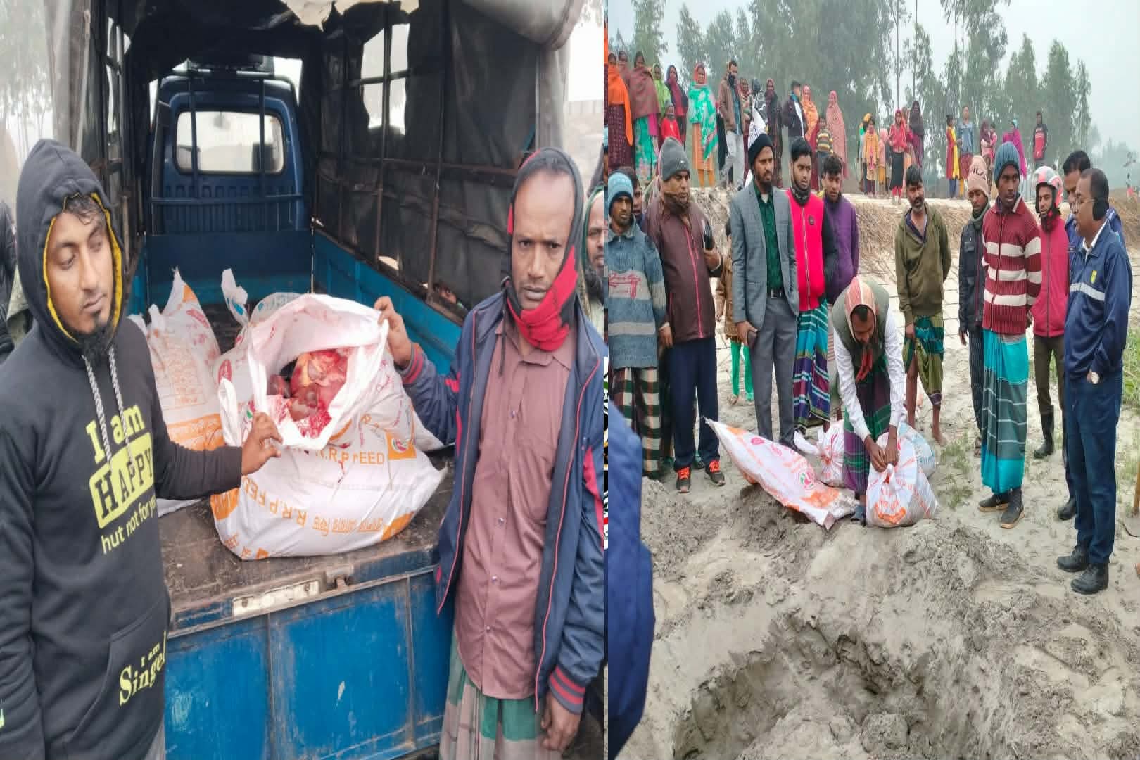 যমুনার চরে ঘোড়া জবাই করে মাংস পরিবহন: কাজিপুরে মোবাইল কোর্টে জরিমানা