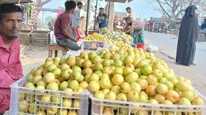 মাগুরায় রমজান ঘিরে জমে উঠেছে কুলের বাজার